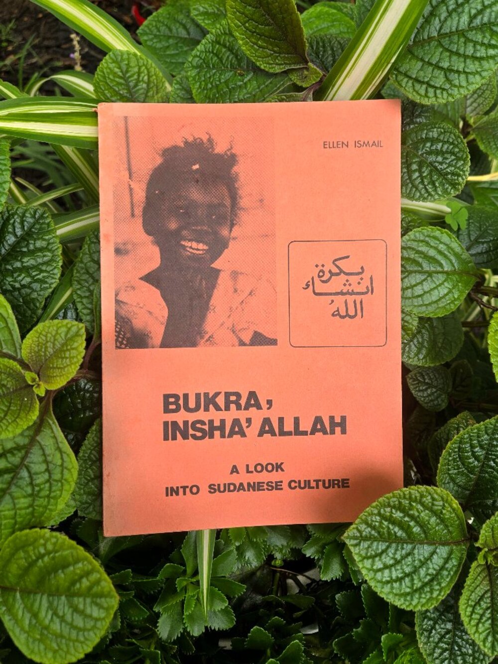 Bukra, Insha'Allah: A Look Into Sudanese Culture by Ellen Ismail (Paperback)